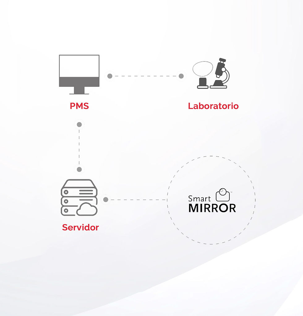 Esquema visual de PMS Smart Mirror
