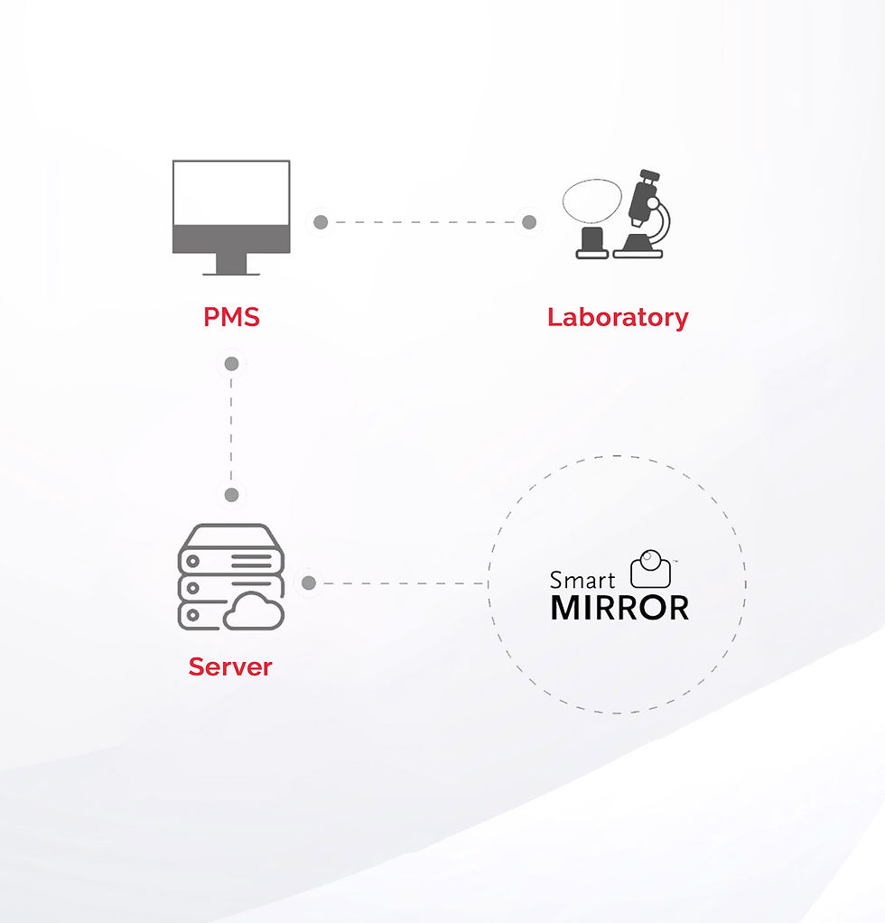Schema visivo acep PMS Smart Mirror